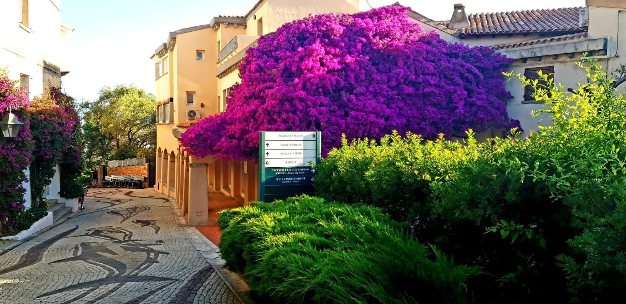 بورتو روتوندو Residence Bouganville المظهر الخارجي الصورة